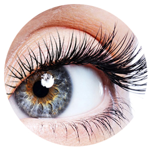 Lashes Ext